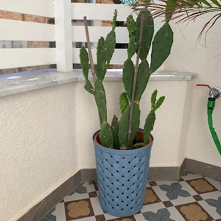 Casa Nica Appartement Mondello Buitenkant foto